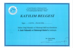 scan07329320160811171659_023